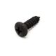 (Discontinued - No Replecement Available) Part 16070 - Screw M5-0.8 X 12 Pthms Zn 2Mm