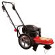(Discontinued - No Replecement Available) Earthquake 173Cc - 22 Inch String Trimmer- 4-Cycle Viper Engine - Model 600050V